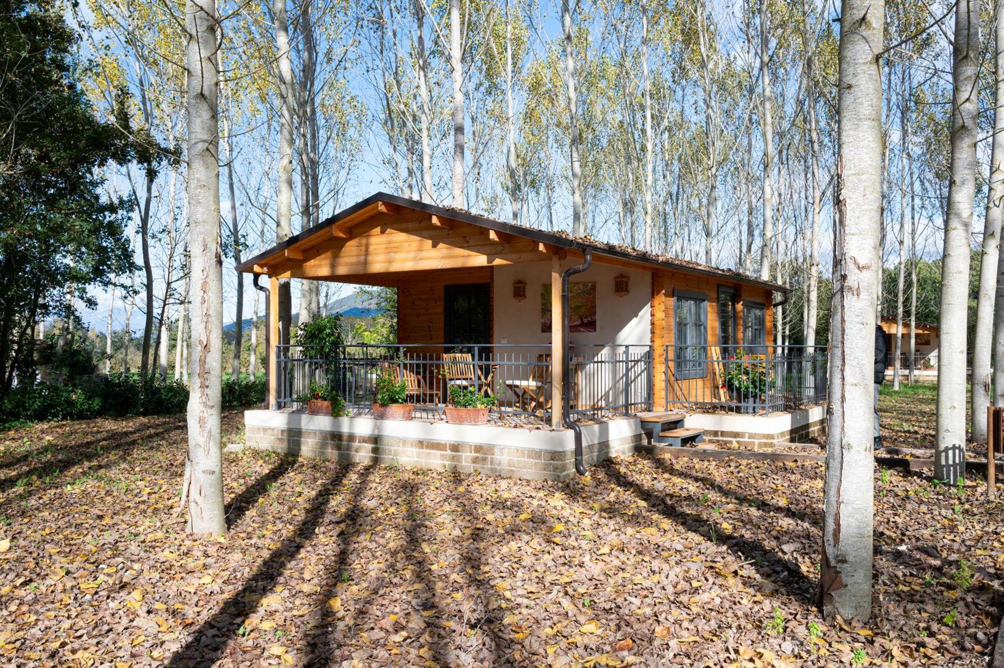 Family Farm Soc. Agr. A R.L. Villa Vairano Patenora Exteriör bild